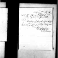 Primary page