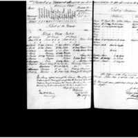Primary page
