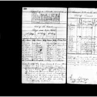 Primary page