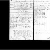 Primary page