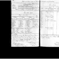 Primary page