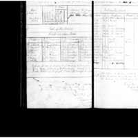 Primary page