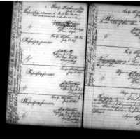 Primary page