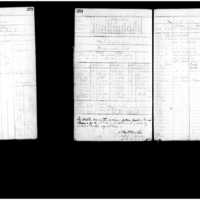 Primary page