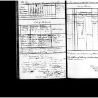 Primary page