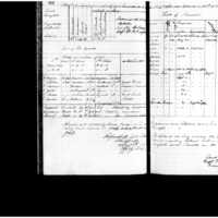 Primary page