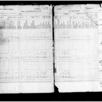 Primary page