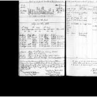 Primary page
