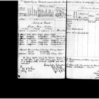 Primary page