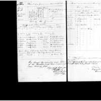 Primary page