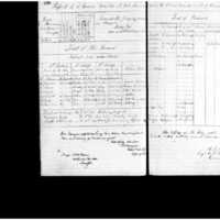 Primary page