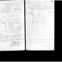 Primary page