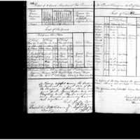 Primary page