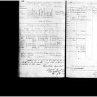 Primary page