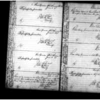 Primary page