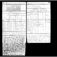 Primary page