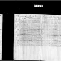 Primary page
