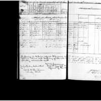 Primary page