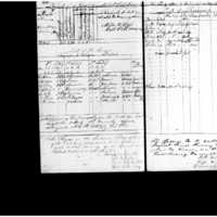 Primary page