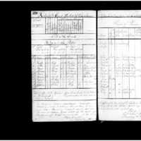 Primary page