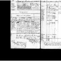 Primary page