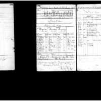 Primary page