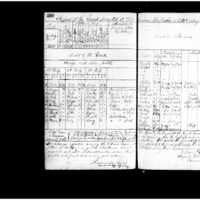Primary page