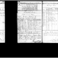 Primary page