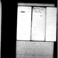 Primary page