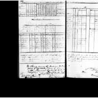 Primary page