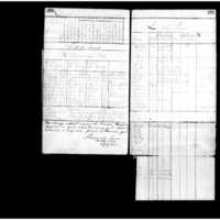 Primary page