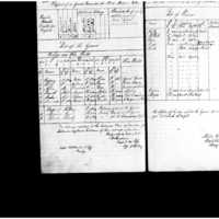 Primary page