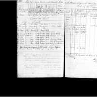 Primary page