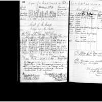 Primary page
