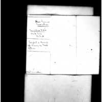 Primary page