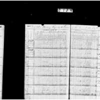 Primary page