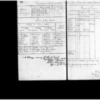 Primary page