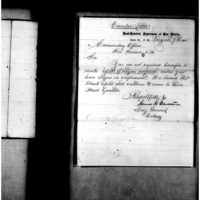 Primary page