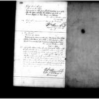 Primary page