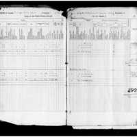 Primary page