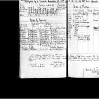 Primary page