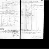 Primary page