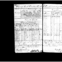Primary page
