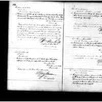 Primary page