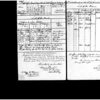 Primary page