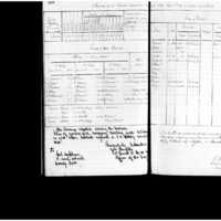 Primary page