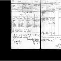 Primary page
