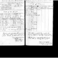 Primary page