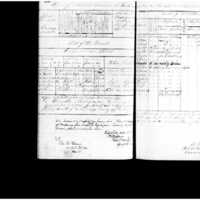 Primary page