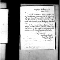 Primary page